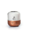 Aroma Diffuser Mist MyMist Boles d'olor